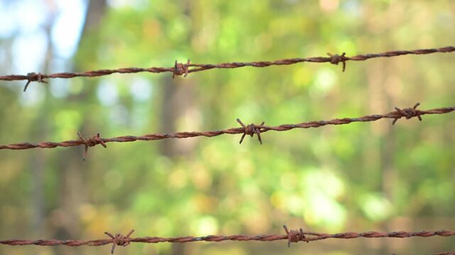 Close up of an old, rusty barbed wire fence with blurred trees in the background 
