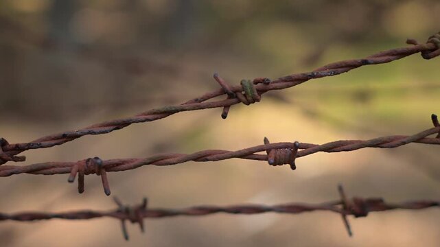 Close up of an old, rusty barbed wire fence 