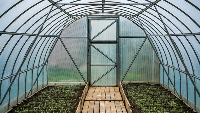 Arched polycarbonate greenhouse with metal framework, translucent covering and cultivated garden beds inside. Home gardening, self-sufficient cultivation.