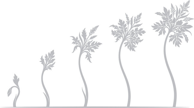 Five stages of plant growth showing the development of a sprout into a tall leafy green vegetable seedling in a simple flat illustration style
