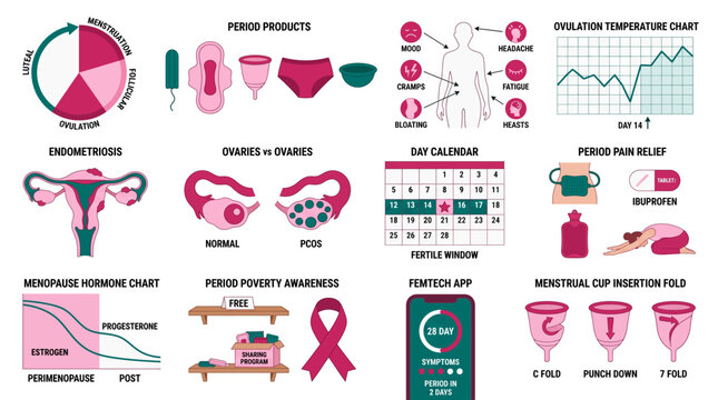 Menstrual reproductive health collection with cycle phases period products PCOS endometriosis fertility tracking and femtech app vector set