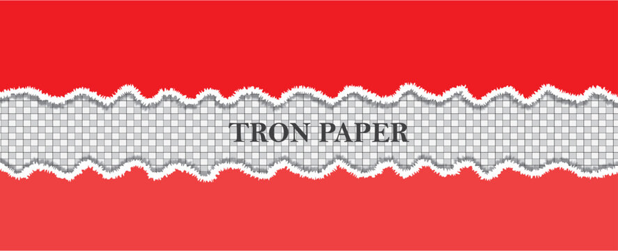 Detailed examination of tron paper architecture implementation and future potential applications