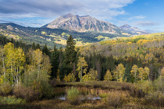 Aautumn Foliage in the Rocky Mountains of Colorado. East Beckwith Mountain on Kebler Pass near Crested Butte.