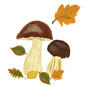 Cte mushroom autumn and halloween illustration