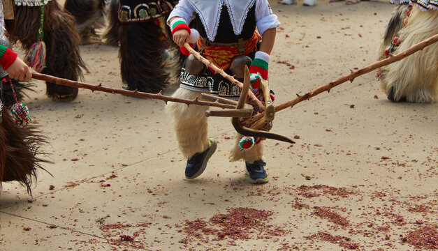 Boy in traditional Kukeri costume performing a ritual dance with fur covered figures and crossed wooden sticks on a sandy outdoor ground during a cultural tradition