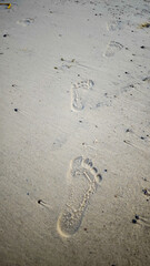 Closeup of human footprints on smooth wet beach sand with subtle textures and natural patterns. Ideal for travel, vacation, walking, memory and coastal themes. © Feoktistova
