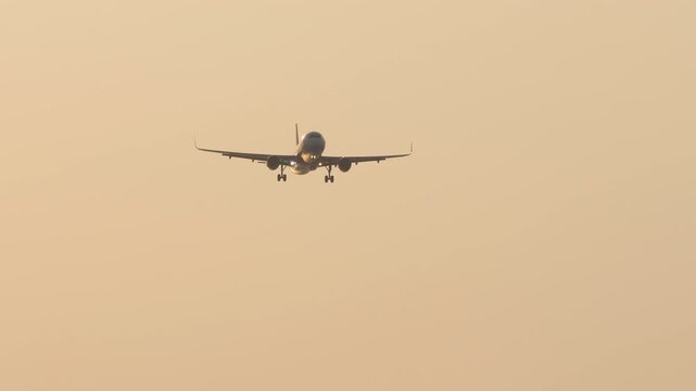 Narrow body passenger jet on final approach with landing gear down, head on view against warm golden hazy sky at sunset, telephoto shot