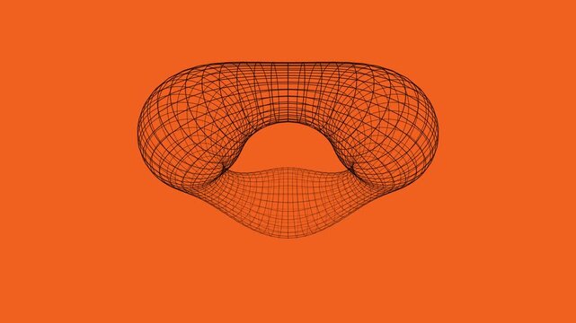 A 3d wireframe illustration of an elongated organic shape featuring a complex geometric mesh structure set against a vibrant orange