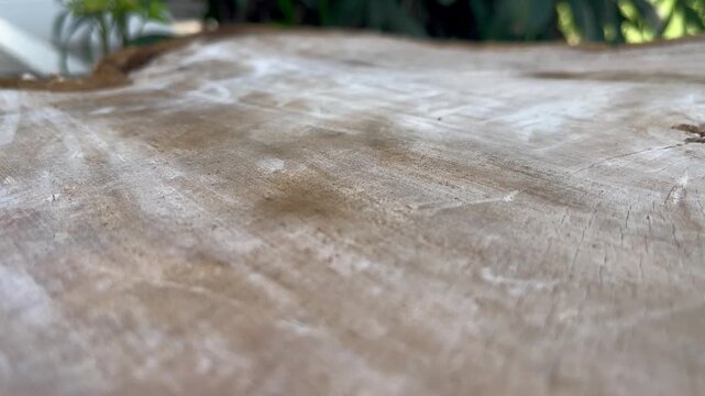 Wooden table in garden