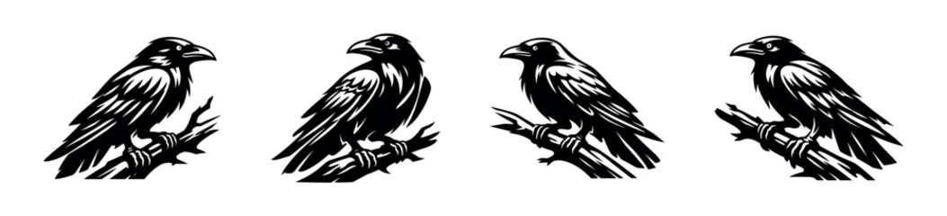 Fototapeta premium Set of Four Stylized Raven Silhouettes