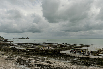 View of underwater oyster farms in Cancale, Brittany, exposed during low tide, raditional sustainable aquaculture and production of premium French oysters, France © barmalini
