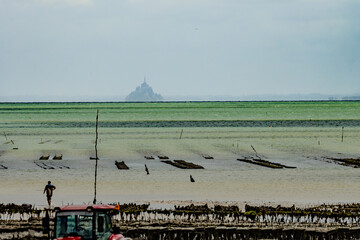 View of underwater oyster farms in Cancale, Brittany, exposed during low tide, raditional sustainable aquaculture and production of premium French oysters, France © barmalini