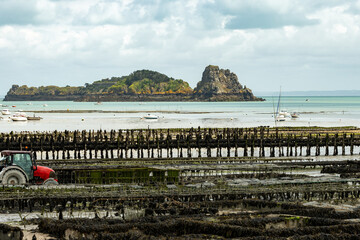 Aerial drone view of underwater oyster farms in Cancale, Brittany, exposed during low tide, raditional sustainable aquaculture and production of premium French oysters, France © barmalini
