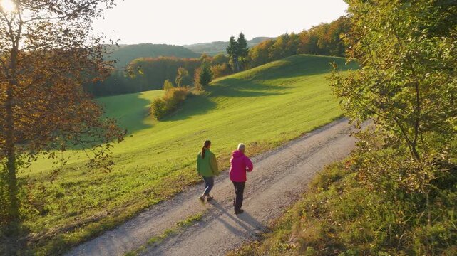 AERIAL, LENS FLARE: Two women walking together along a winding country road while a mixed breed dog explores around. Golden evening light illuminates rolling green hills and colourful autumn woods.