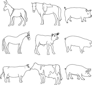 Technical line art vector illustration of farm animal entourage silhouettes and elevation outlines, featuring a donkey, saddled riding horse, domestic pig variations, horse with halter, young calf