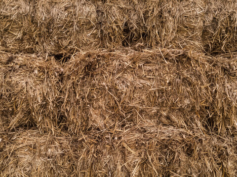 stacked hay dry background 