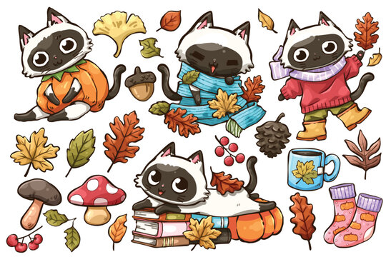 Cute cartoon cats in various poses with pumpkins, autumn leaves, mushrooms, books, scarves, boots, and warm fall accessories, perfect for cards, stickers, gift wrapping, and festive designs.