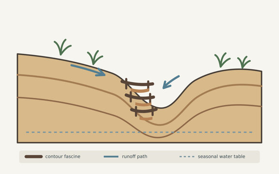 Contour Fascine Gully Restoration