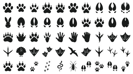 Obraz premium 50 Animal Footprint Vector Icons Featuring Dog Cat Tiger Lion Bear Wolf Fox Deer Horse and Wildlife Paw Prints