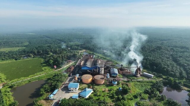 Aerial view of a palm oil processing mill with smoking chimneys, surrounded by vast green palm plantations and wastewater treatment ponds. Industrial agriculture concept.