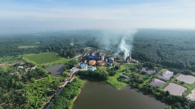 Aerial view of a palm oil processing mill with smoking chimneys, surrounded by vast green palm plantations and wastewater treatment ponds. Industrial agriculture concept.