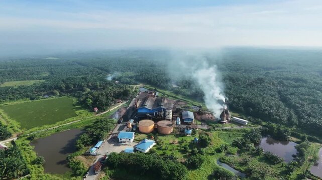 a crude palm oil extraction factory set amidst a massive tropical estate forest, featuring storage tanks and ponds under an overcast sky.