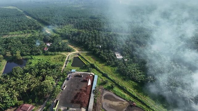 a crude palm oil extraction factory set amidst a massive tropical estate forest, featuring storage tanks and ponds under an overcast sky.