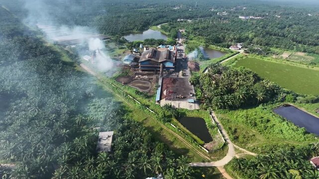 aerial perspective of a sprawling palm oil processing plant surrounded by endless green palm trees fields. Industrial agricultural landscape and biomass energy production.