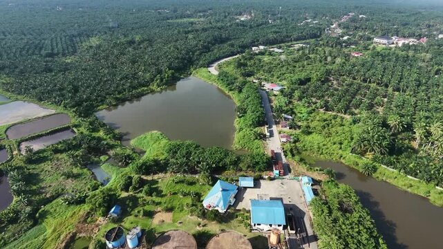 aerial perspective of a sprawling palm oil processing plant surrounded by endless green palm trees fields. Industrial agricultural landscape and biomass energy production.