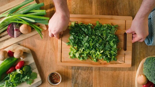 Cilantro parsley close up cut cutting coriander greens with knife aromatic texture macro traditional Asian and Mexican cuisine herb studio shot 