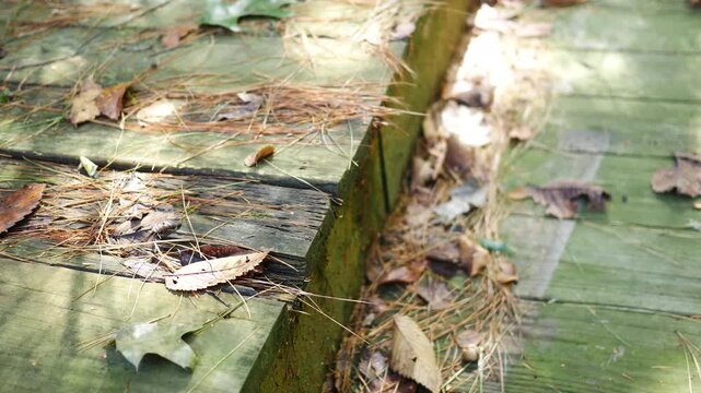  Dilapidated Deck Series - Old Deck Boards on Dilapidated Deck 2