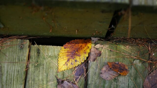  Dilpidated Deck Series - Old Deck Boards on Dilapidated Deck