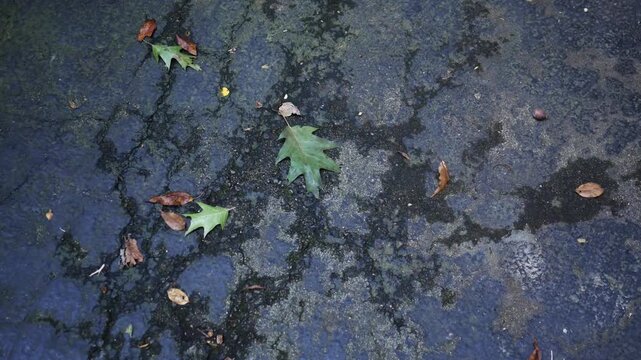 Old Asphalt Driveway - Cracks in Blacktop Driveay 3