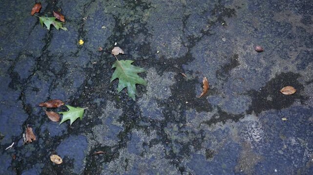  Old Asphalt Driveway - Cracks in Blacktop Driveay 5.