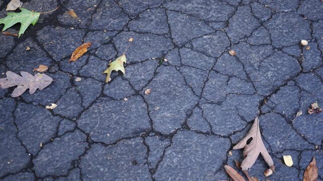 Old Asphalt Driveway - Cracks in Blacktop Driveay 6