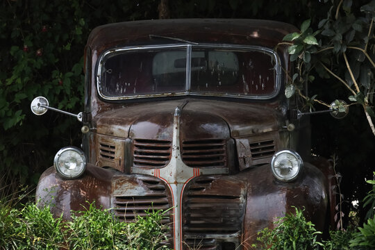 Abandoned Vintage Rusty Truck Overgrown with Plants, Old Classic 1940s Pickup Front View