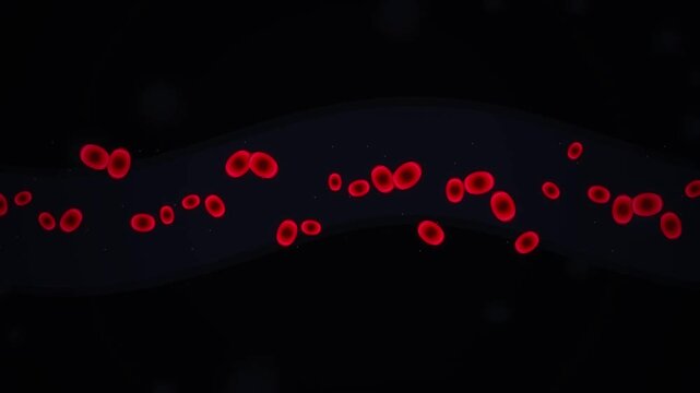 Numerous crimson oxygenated erythrocytes navigate through a narrow vein to deliver vital nutrients while maintaining proper health levels within the circulatory system of a typical human body