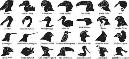 Fototapeta premium Diverse bird species profile silhouettes vector set featuring toucan flamingo puffin hornbill eagle and wildlife head icons collection