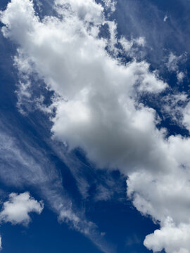 turtle shaped small cloud and blue sky