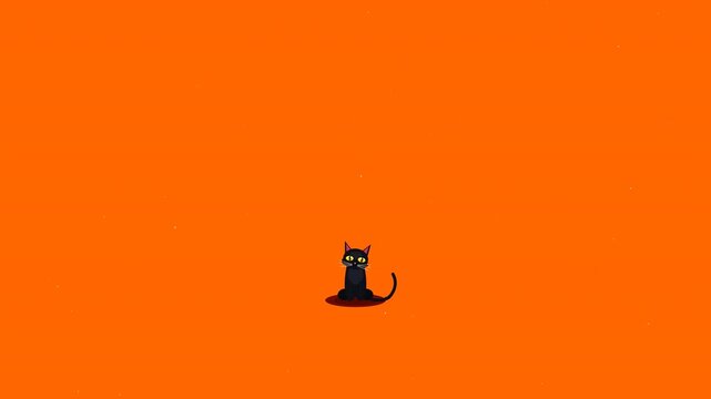 Halloween black cat animation loop with cute characters