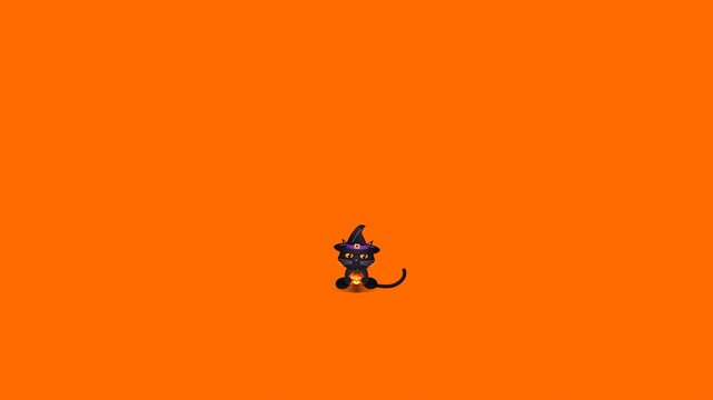 Halloween black cat animation loop with witch hat on orange