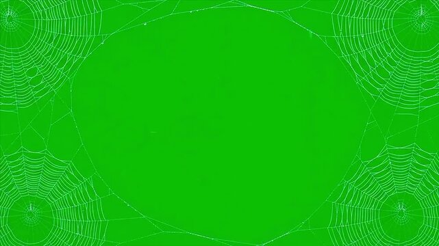 Realistic spider web border green screen chroma key animation