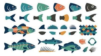 Fototapeta premium Fish anatomy and marine biology infographic elements collection.