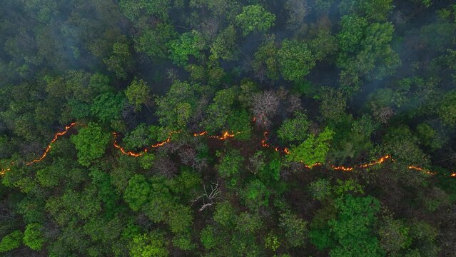 Overhead drone image of dry, burned ground following wildfire, showing environmental damage, soil degradation, and the long-term effects of global warming and climate change. Thailand. 4k.
