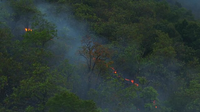 Overhead drone image of tropical forest affected by wildfire, showing haze and scorched areas, reflecting environmental crisis, deforestation risks, and climate change impacts globally. Thailand. 4k.
