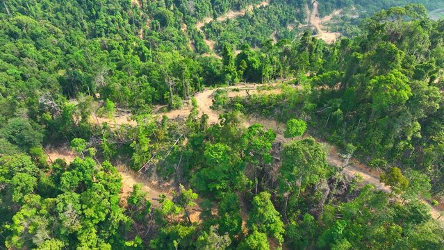 Aerial drone view of deforested hills with winding dirt roads, highlighting illegal logging activities, environmental degradation, and the urgent impact of deforestation on ecosystems, climate change.