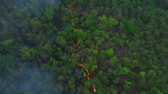 Drone aerial perspective of wildfire smoke covering tropical forest canopy, emphasizing carbon emissions, ecosystem damage, and the increasing threat of global warming in today&rsquo;s world. Thailand. 4k.
