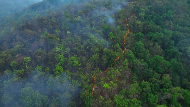 Aerial view of scorched earth and dry soil after wildfire in tropical forest, highlighting land degradation, climate change impacts, and the growing effects of global warming on natural ecosystems.
