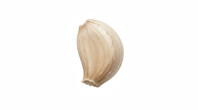 Single garlic clove with textured skin during studio lighting isolated on transparent background