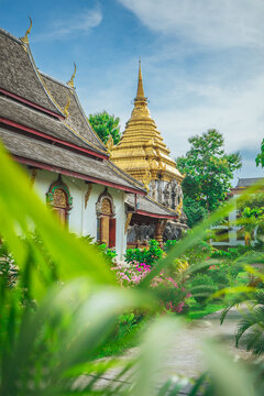 Garden landscape with the pagoda of Wat Chiang Man in Chiang Mai Old City, Thailand